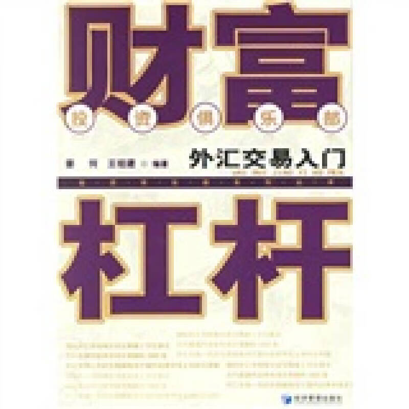 【正版现货】财富杠杆 外汇交易入门