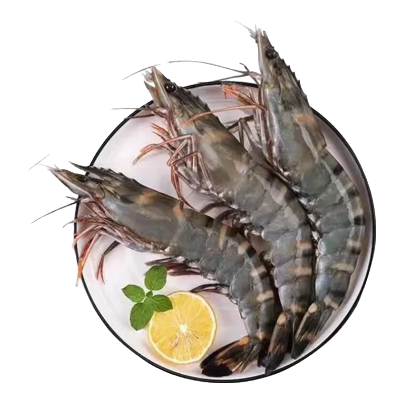 �������� ���ͺڻ�Ϻ ��Ϻ�������ϻ�Ϻ �߽�Ϻ��Ϻ ӡ�����ʻ�� ��� 1015���͡��ش��ڻ�Ϻ�� 2.7��(����)  21-25ֻ