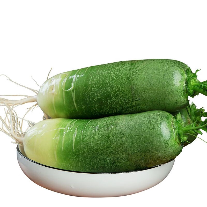 山东潍坊青萝卜甜脆当季蔬菜 【特级果】带箱 3斤 现拔多汁