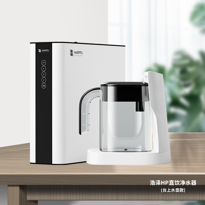 5l水壶直饮机厨房自来水过滤饮水机台上龙头水壶双出水净水器 浩泽hp