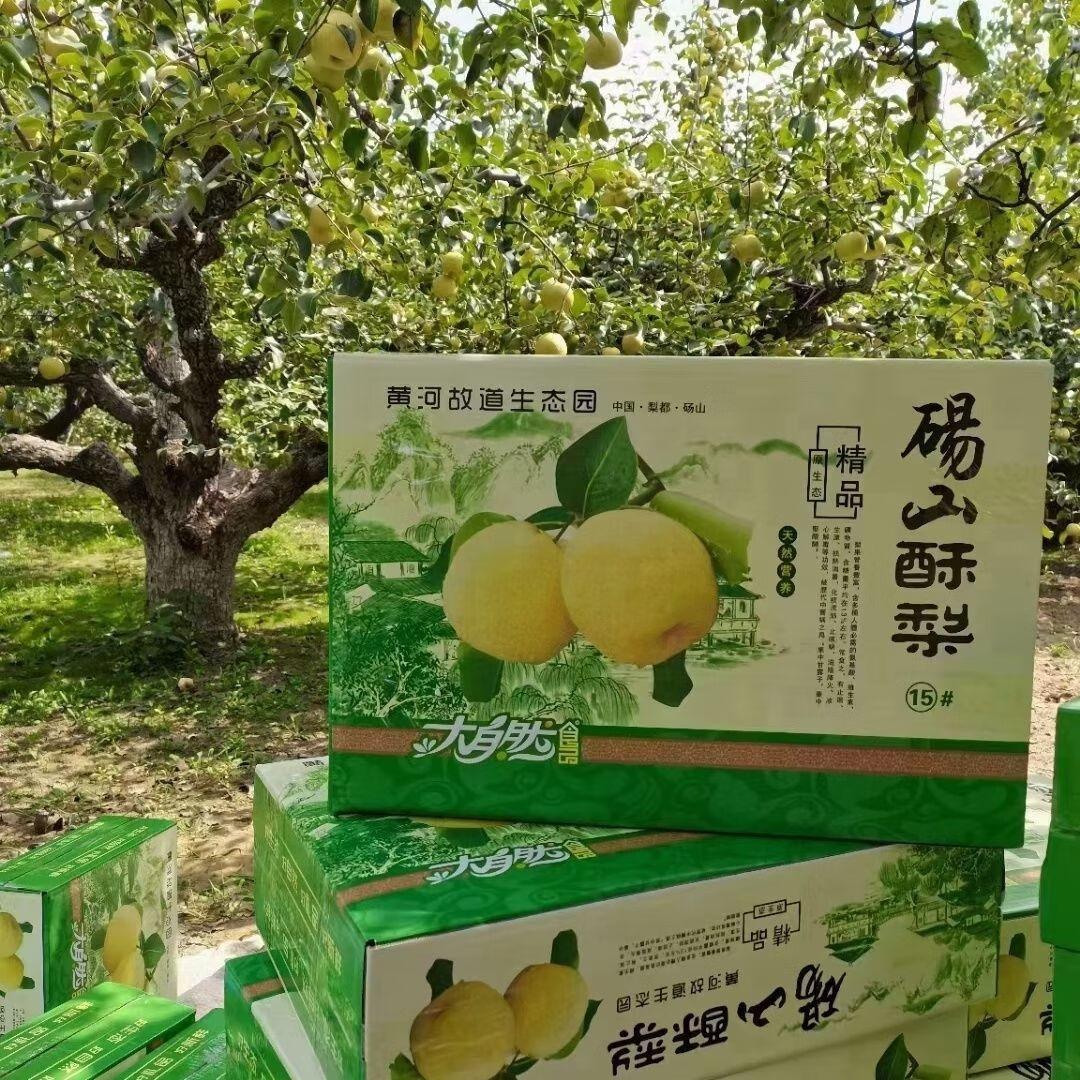 正宗安徽砀山酥梨 砀山梨  酥梨止咳润喉 梨子水果 [9斤精品果彩箱]【顺丰快递】