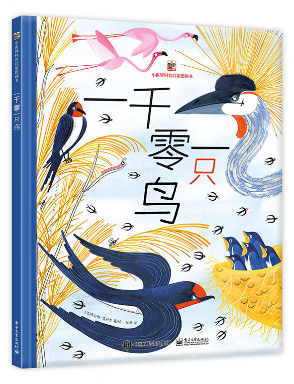 一千零一只鸟 幼小衔接 书单暑假书单科普绘本大自然课外读物礼物书单科普百科亲子阅读 4-8岁小猛犸童书 
