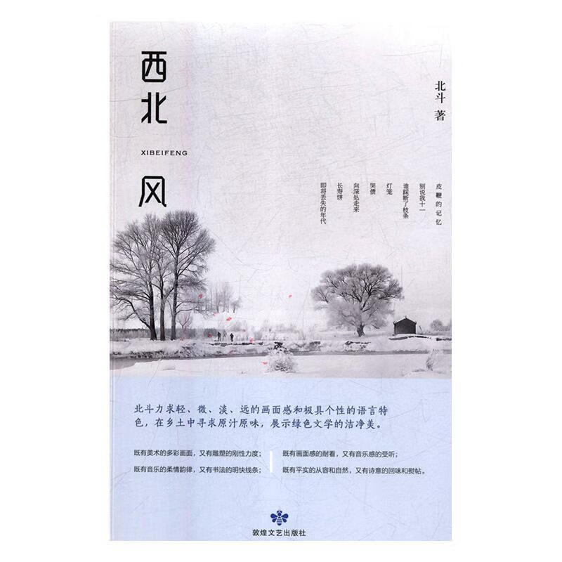 西北风(北斗中短篇小说集)