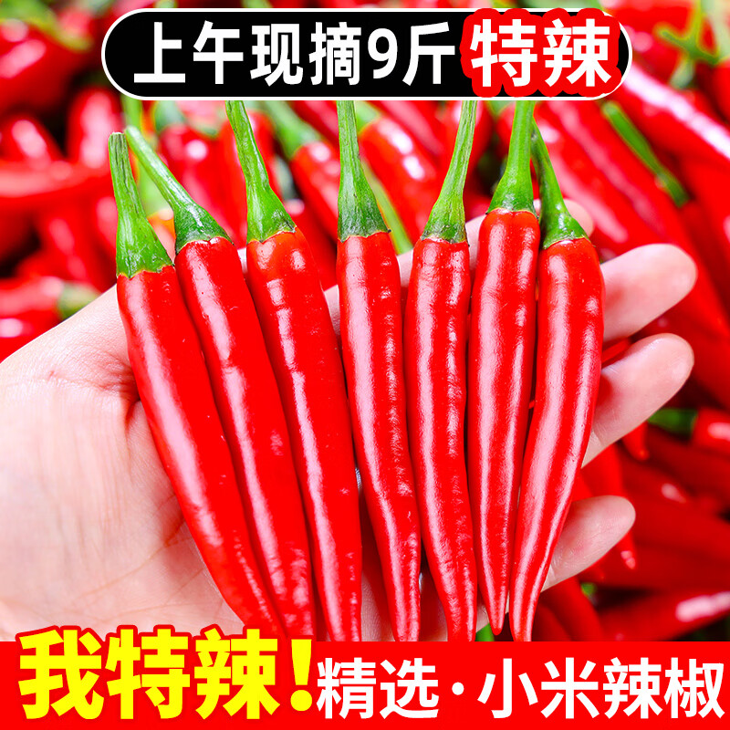 荔口福云南四川新鮮紅小米辣椒特辣超辣魔鬼紅辣椒朝指天椒野山椒白米椒 新鮮小米椒【 9斤 】產(chǎn)地直發(fā)