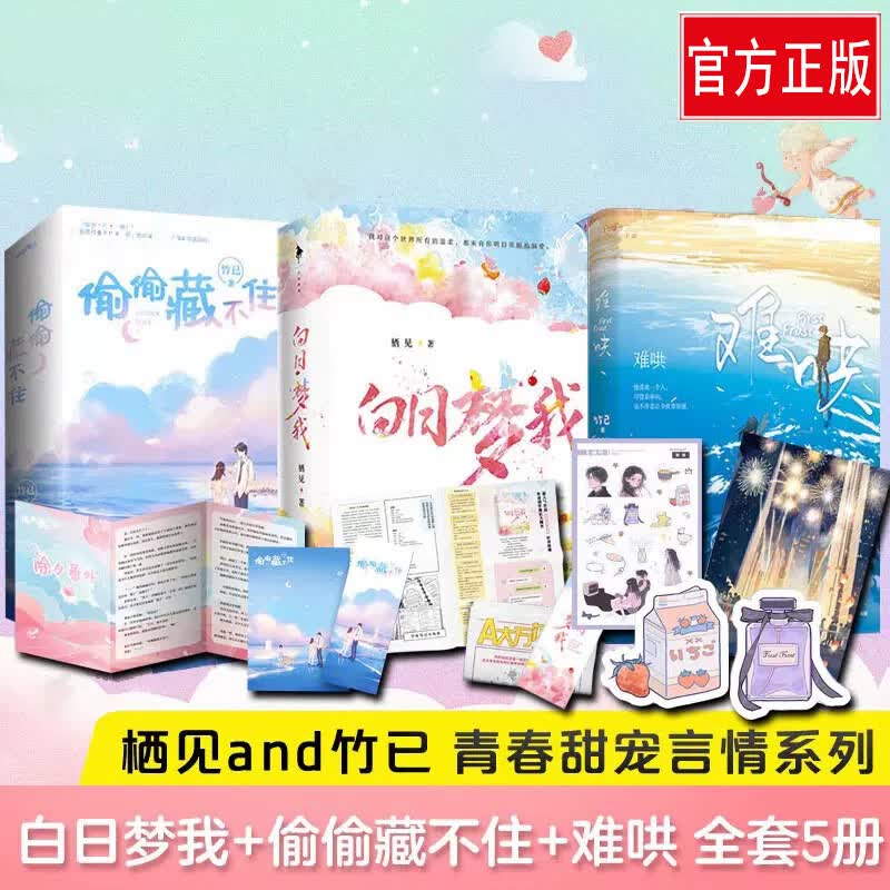 难哄小说 偷偷藏不住 白日梦我正版全套5册 栖见竹已 甜宠青春言小说