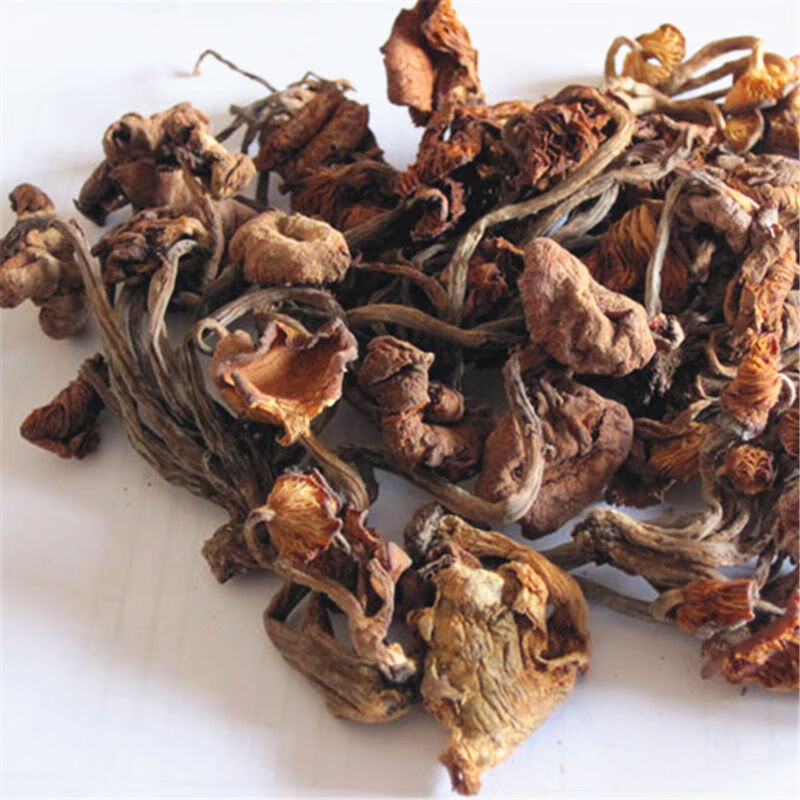 禾澹野生青冈菌四川特产干货青川青杠菌榛蘑鸡丝菌素食蘑菇煲汤炖