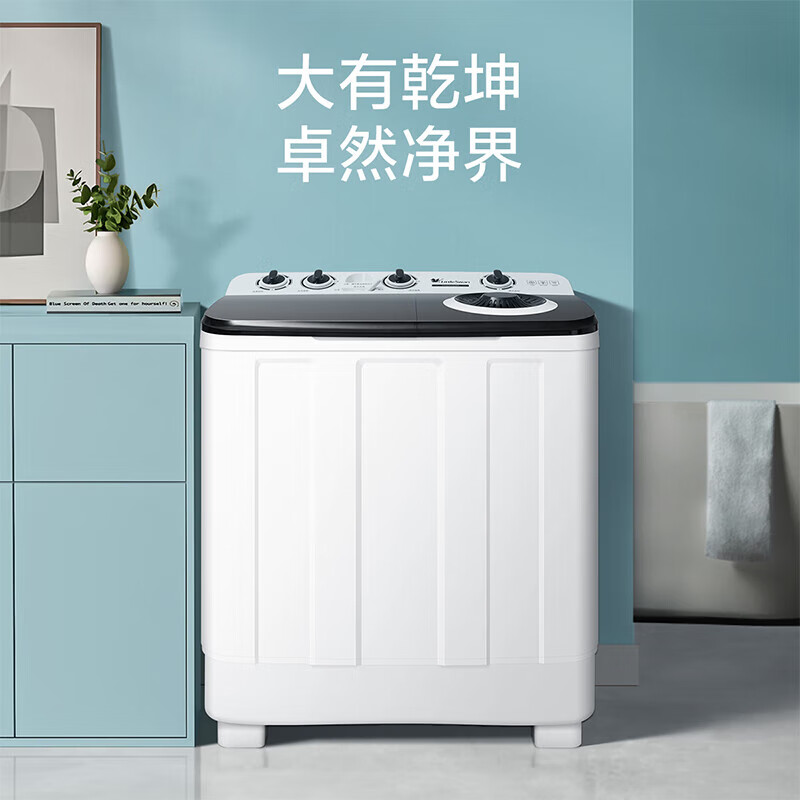 小天鹅(LittleSwan)洗衣机半自动双缸双桶 大容量家用宿舍租房甩干脱水分离简易操作 以旧换新 【10公斤容量】TP100V528E