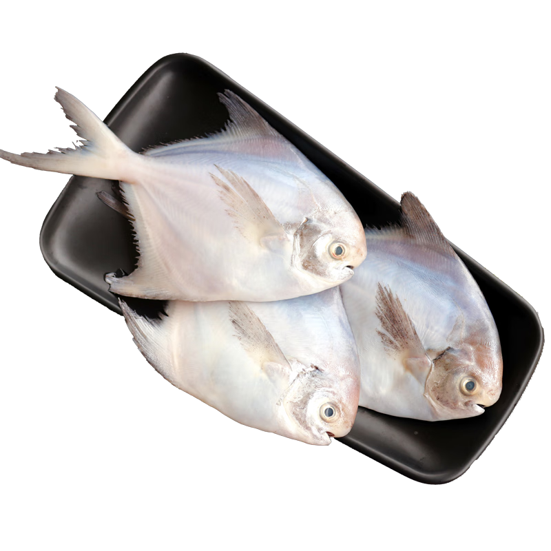 ڲָɽ 䶳 ʻٶƽտʳ ɽ㾻3Լ5-8/ 213.6Ԫ4(53.4Ԫ/)