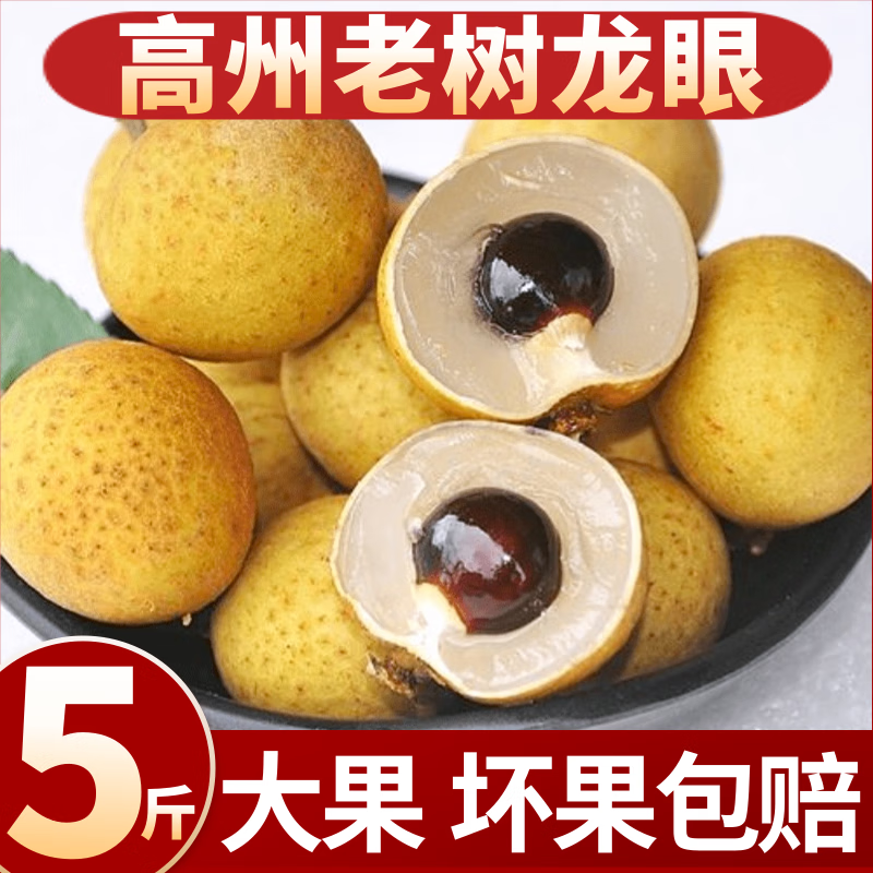 高州新鲜龙眼当季水果桂圆鲜龙眼孕妇整箱 1斤 泡沫箱 冰袋单果5-10g