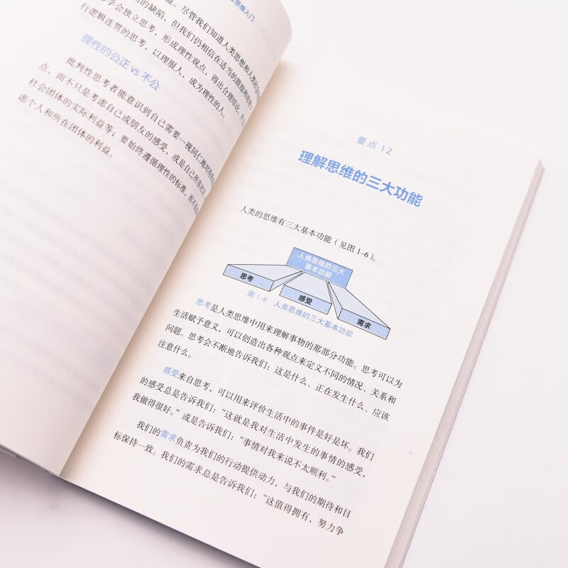批判性思维入门:30天学会独立思考详情图