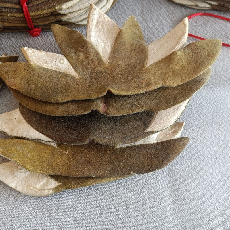 佑康泰正宗原产地化州橘红精选陈年正金毛橘红七爪皮 5块