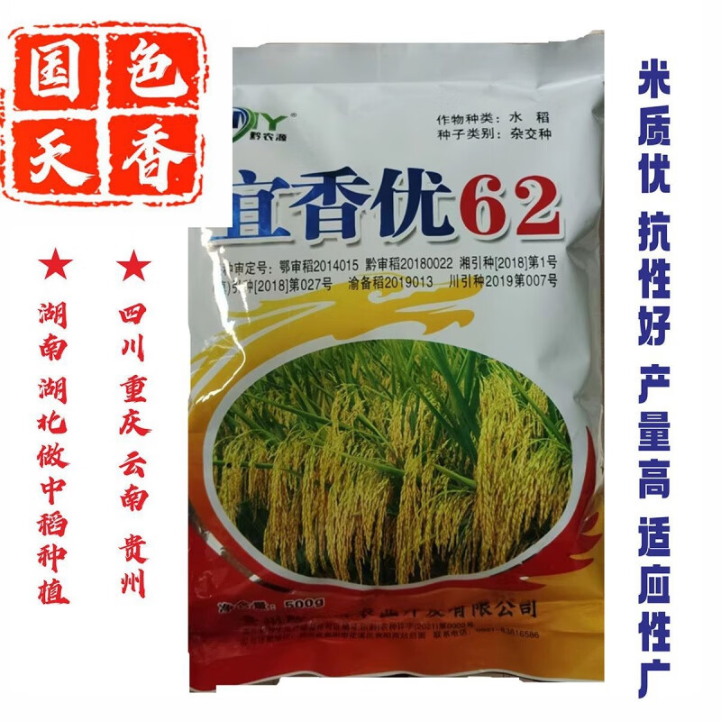谷种水稻种子饭好吃杂交稳产抗倒南方种稻国色天香稻谷种子 宜香优62