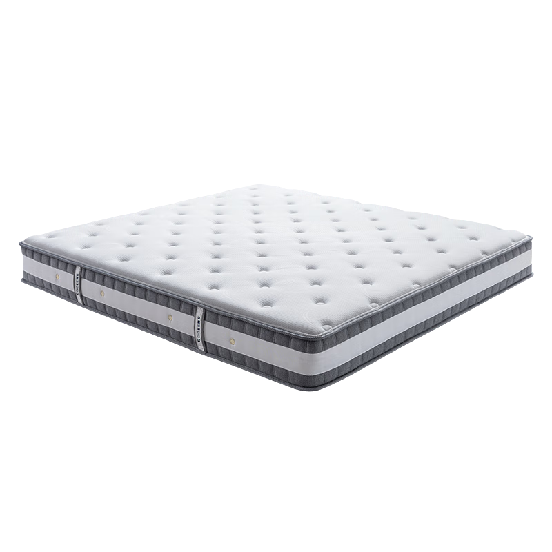 ���ڲ�����֥���� D026 �������ɴ��� 1.8�� ���ؿ� ����ϯ��˼ 1259.69Ԫ(������)