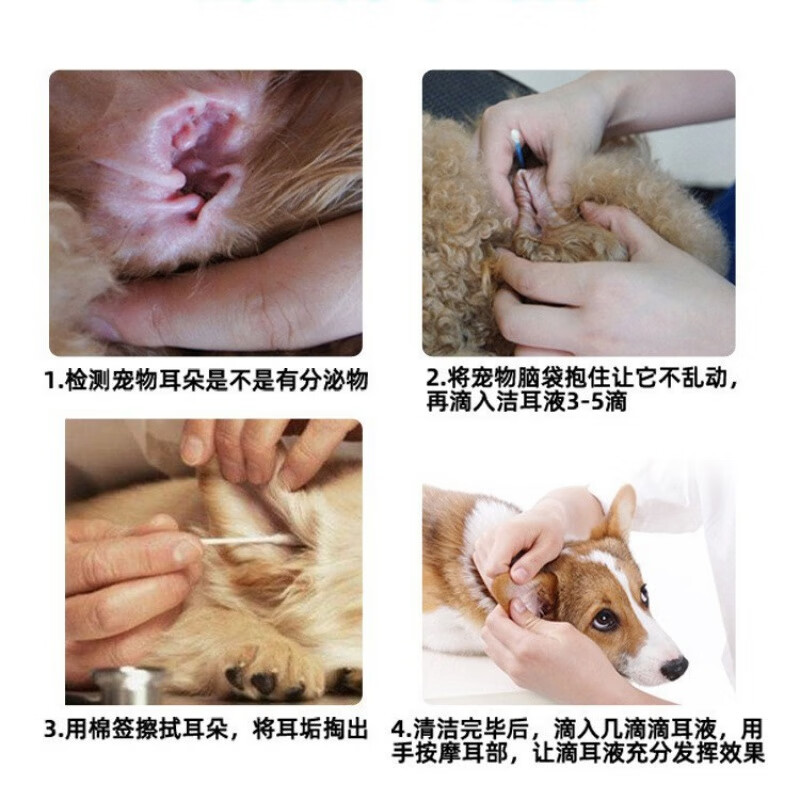 佳尔斯氟苯尼考甲硝唑滴耳液狗狗耳螨滴耳液耳朵药宠物猫咪滴耳液耳臭耳药除螨耳炎外耳炎耳螨专用抗菌 2瓶更划算 现货当日发