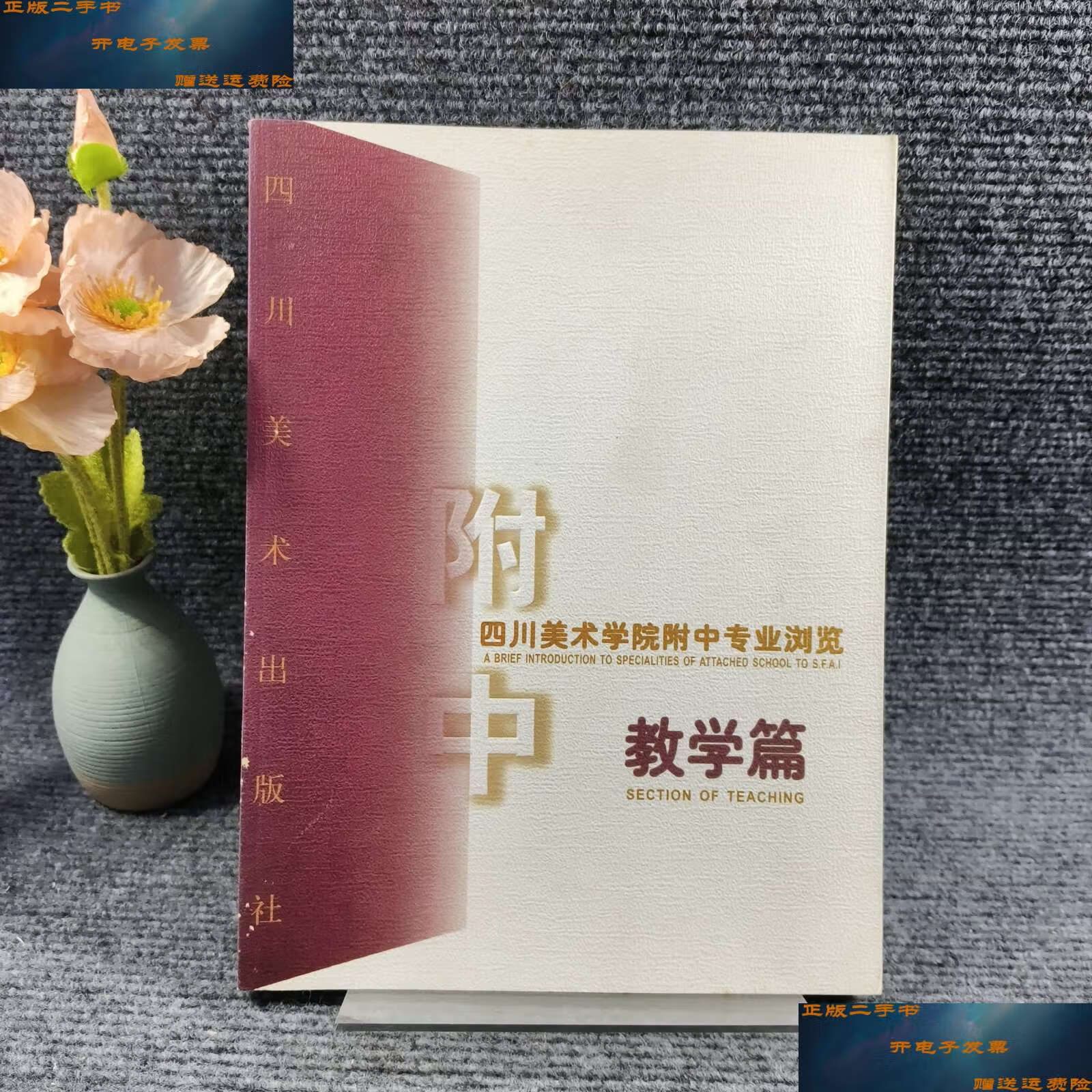 【二手9成新】四川美术学院附中专业浏览【教学篇】 /陈默 四川美术