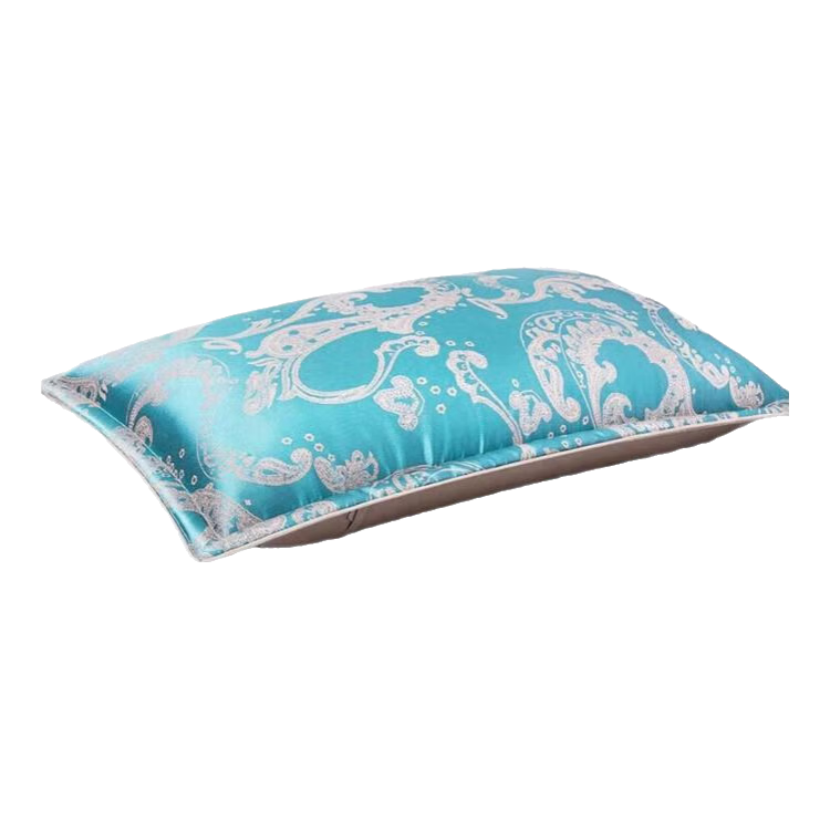 茶禮世家柏子殼枕頭成人睡覺專用護頸枕中草花草填充側(cè)柏殼枕芯睡眠枕頭 6斤20味草本填充 【經(jīng)典藍】