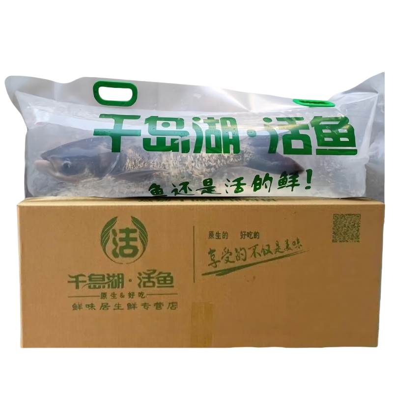 IGIFTFIRE正宗千岛湖胖头鱼活鱼现杀生态大头鱼花鲢鳙 活鱼【江浙沪皖以外可空运城市】 10斤整条【顺丰】