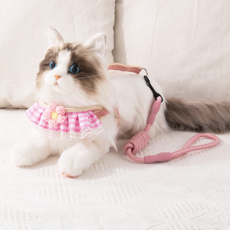 拉维佩特（LOVINGPET） 狗狗牵引绳胸背带 泰迪狗绳子可调节幼犬牵引绳小型犬遛狗绳子 蓝色 M 7-15斤左右 胸围35-60cm