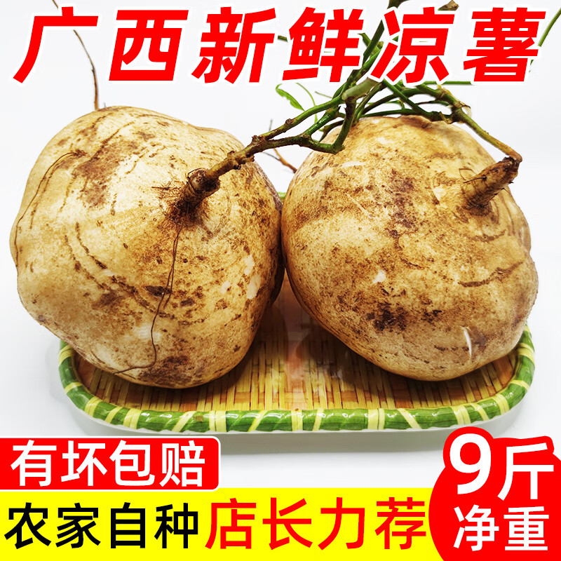 园兴广西新鲜凉薯9斤现挖地瓜番薯地萝卜农家应季水果生吃即食白凉薯