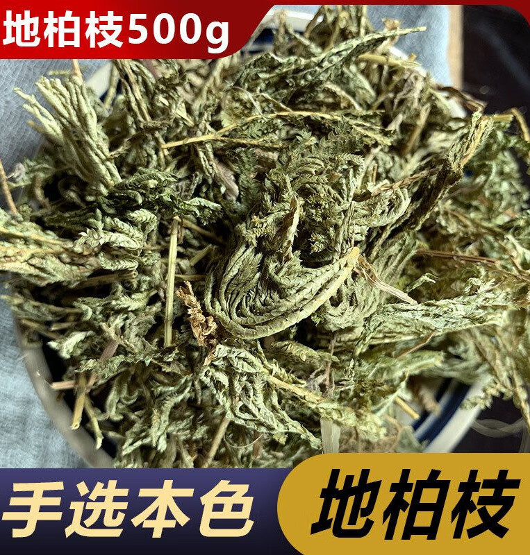 地柏枝500克(地柏 江南卷柏 岩柏草 岩柏枝 山扁担)中药材 500克