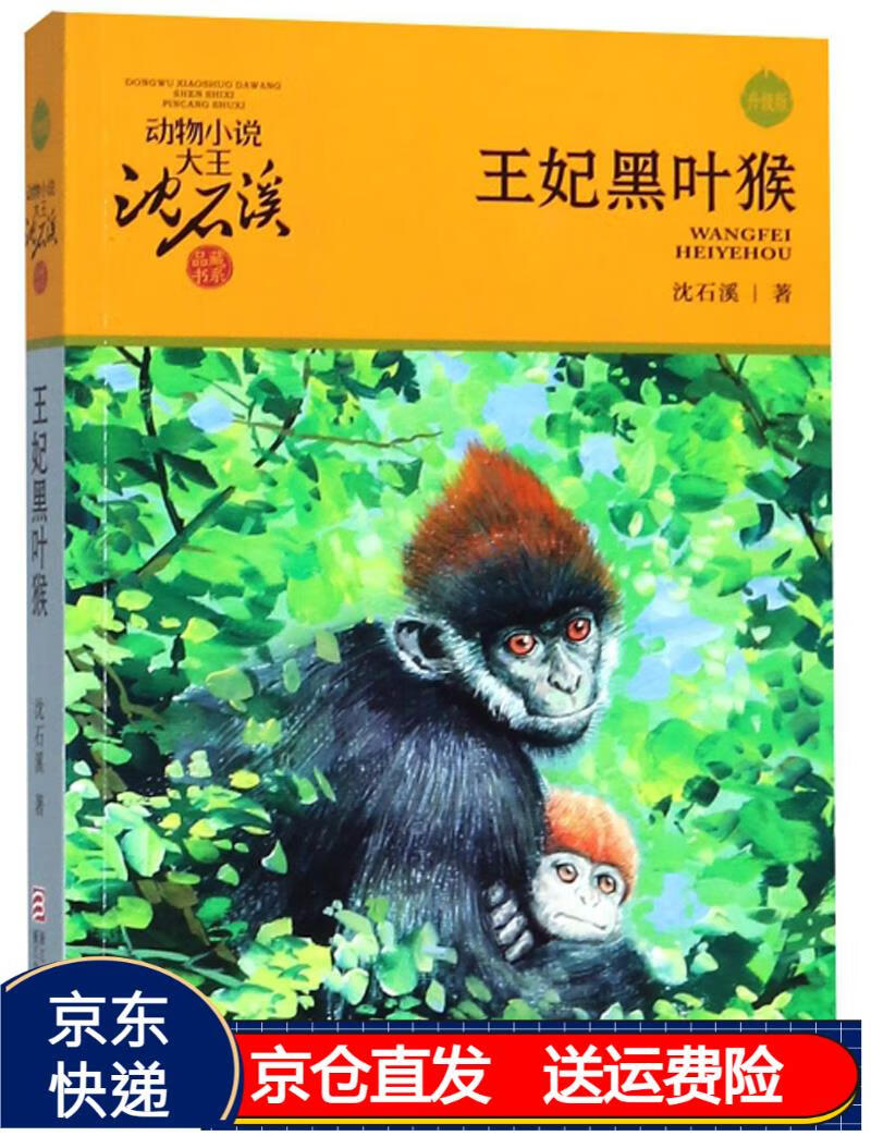 王妃黑叶猴(升级版)/动物小说大王沈石溪品藏书系 京东正版现货 王妃