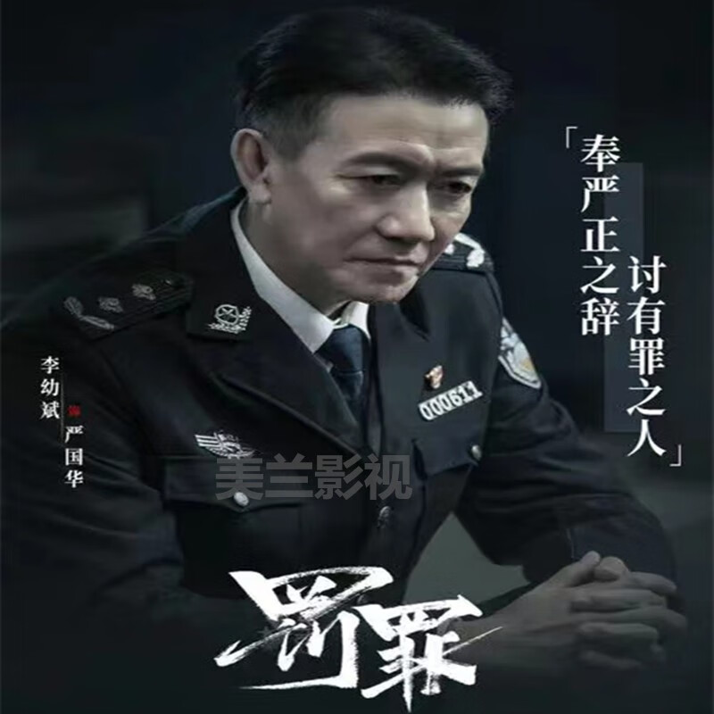 居道悬疑刑侦破案电视剧【罚罪】碟片dvd完整版40集 黄景瑜 杨佑宁