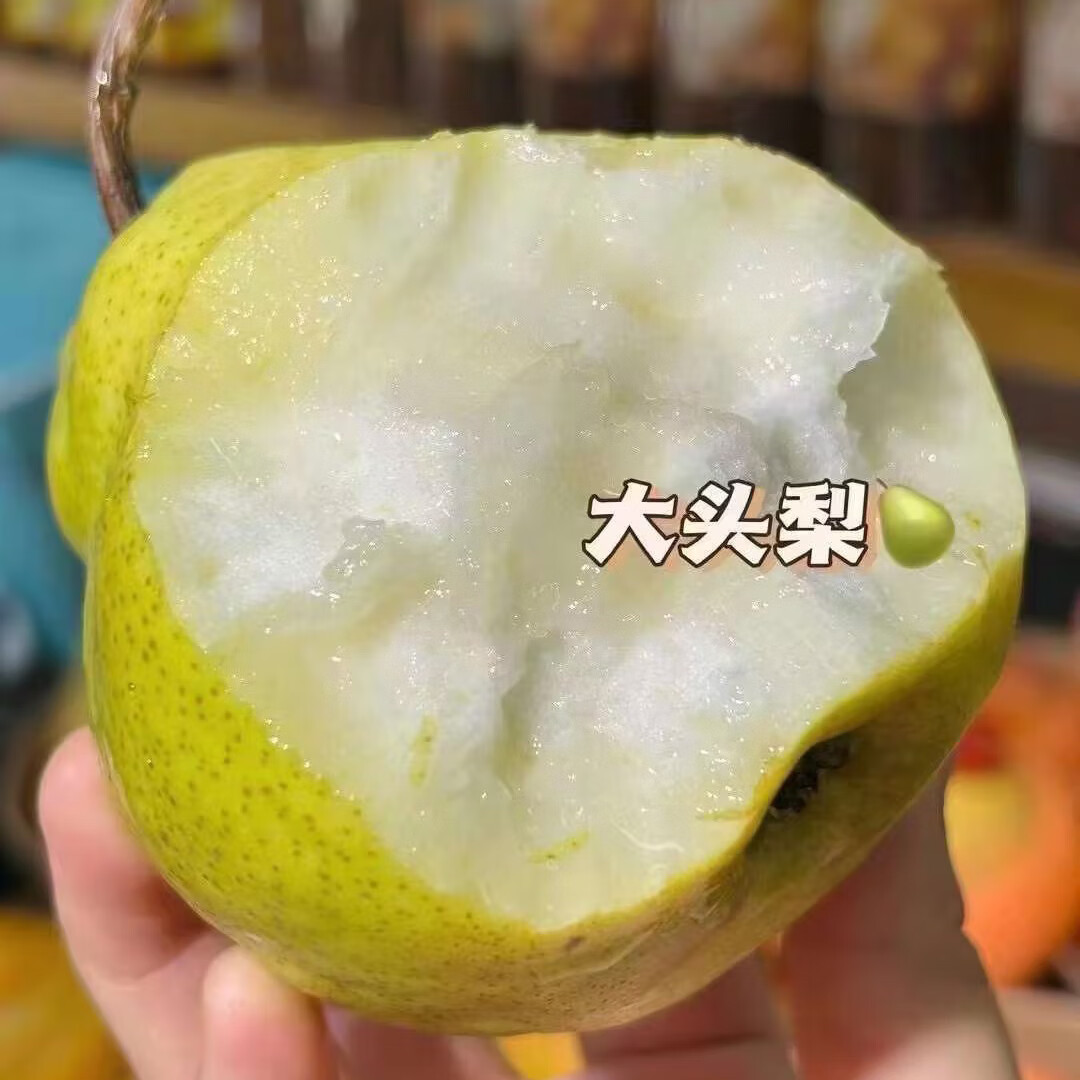 惠食一族智利进口大头梨6粒装 单果200-250g 皮薄肉厚核小新鲜水果