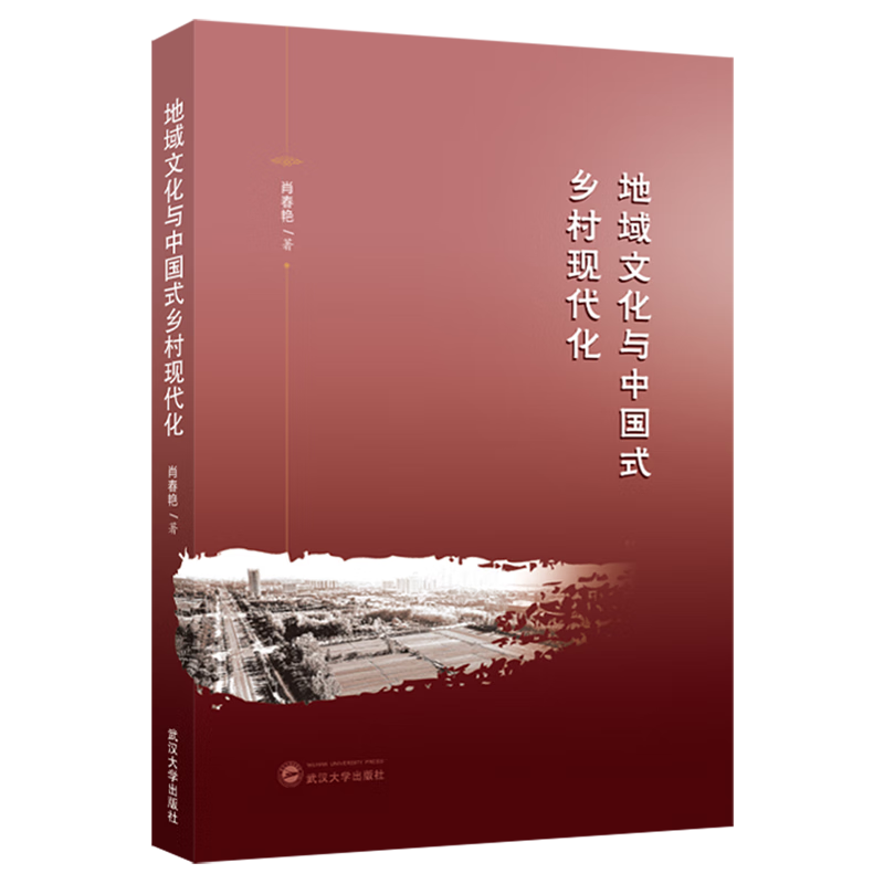 新华正版 地域文化与中国式乡村现代化 行业经济