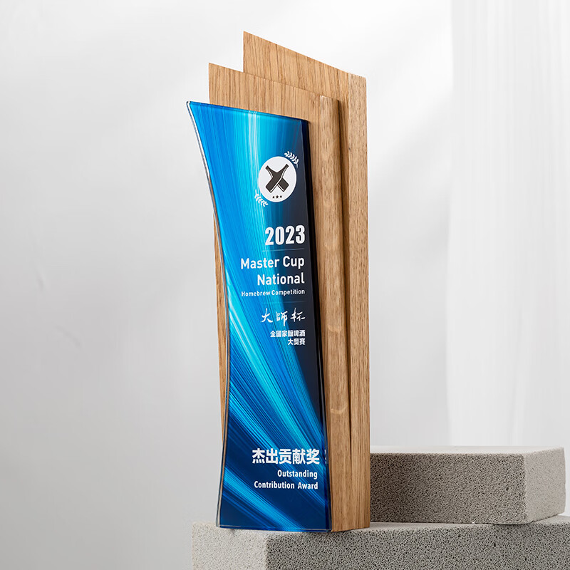 立上头新款实木水晶奖杯定制彩色设计师创意奖杯年会颁奖员工纪念品