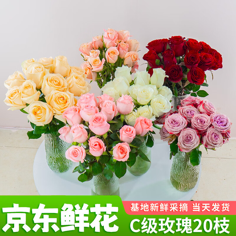 京东鲜花京东鲜花玫瑰花买10支送10支-颜色随机