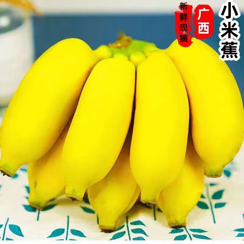 文枝正宗广西小米蕉 新鲜水果当季现发现摘生鲜小香蕉 带箱5斤 4.5斤