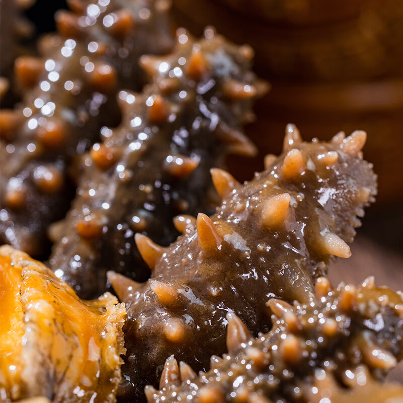 灯火岛佛跳墙八参八鲍大盆菜3斤装 加热即食预制菜方便菜 春节年货送礼 精选食材-八参八鲍大盆菜-1750g