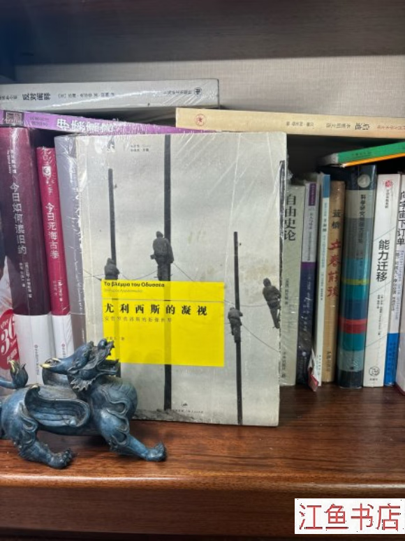 二手八五新 尤利西斯的凝视 安哲罗普洛斯的影像世界 诸葛沂 著 上海