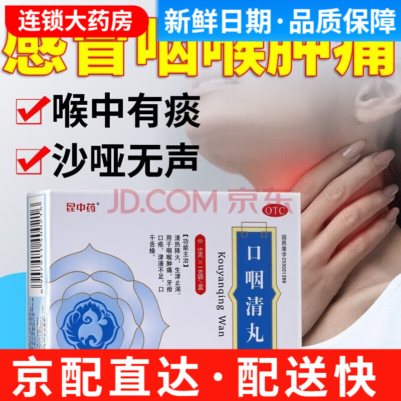 昆中药 口咽清丸(阮氏上清丸) 0.