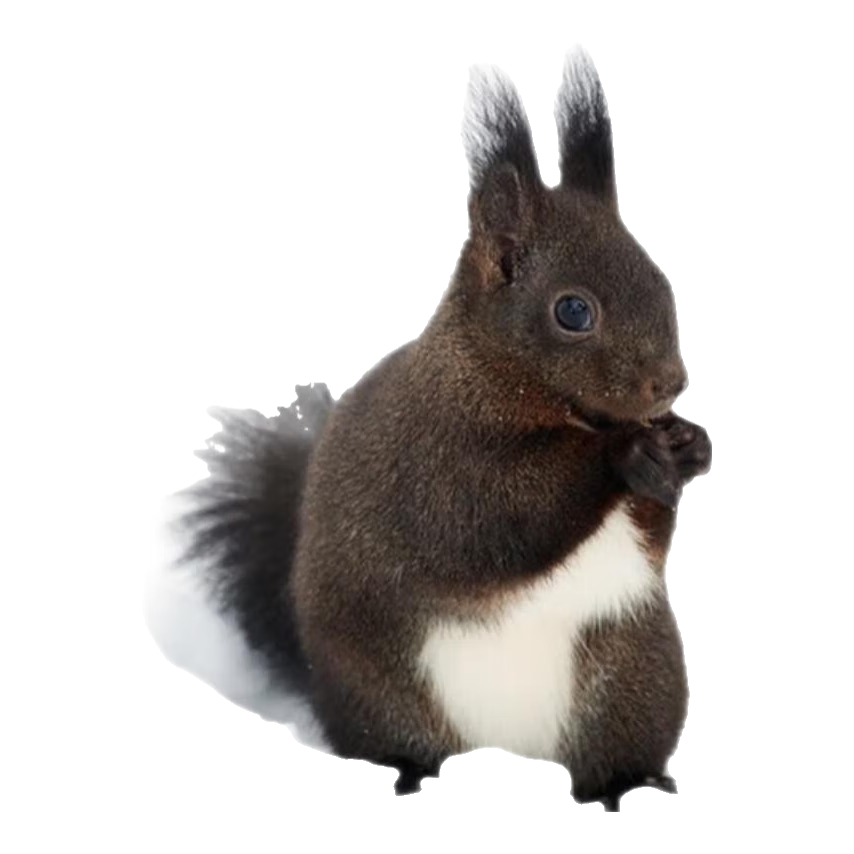 ĺ��С�� ħ���������� �������� ѩ�ػ�ɽ������ ��ĸ��ע 214Ԫ�����׹���������ȫ  �����Ҹ���С����