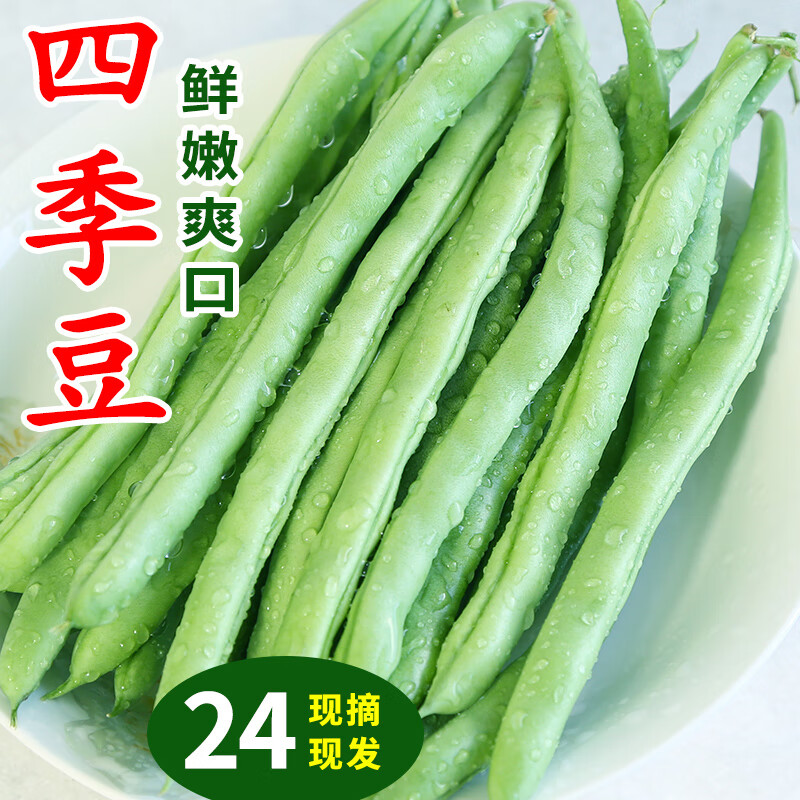 同甘园云南新鲜四季豆现摘豆角应季蔬菜 鲜嫩芸豆扁豆青豆角整箱批发