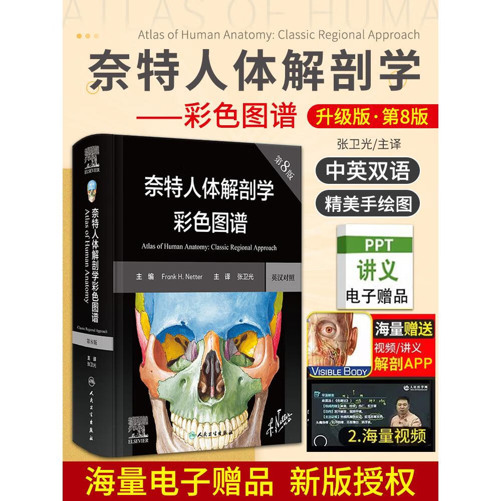 奈特人体解剖学彩色图谱 第8八版 翻译新版临床医学外科学教材书局部