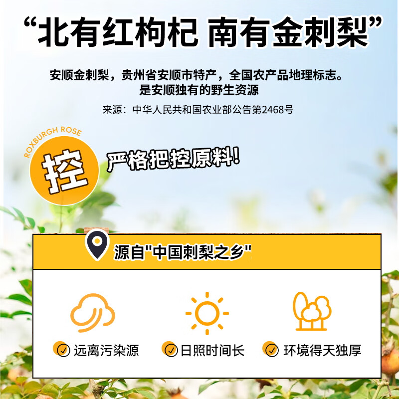 魔梨金刺梨汁刺梨原液鲜果冷榨HPP贵州特产安顺刺梨原浆100%纯果汁 9盒装