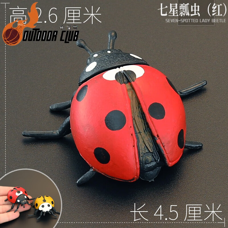 创京懿选仿真动物昆虫标本实心儿童仿真昆虫模型玩具七星瓢虫龟子