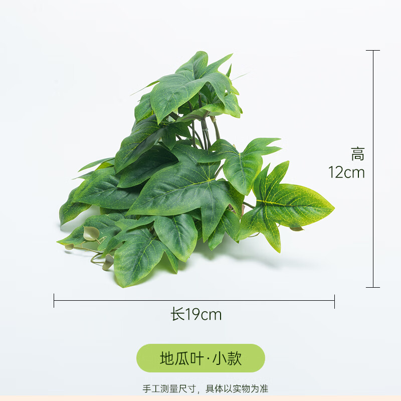 箱造景真植物水陆生态缸陆龟蜥蜴守宫假植物摆件盆景装饰 地瓜叶小款