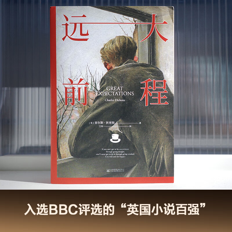 远大前程豆瓣9.1分翻译家王科一译本入选bbc评选的英国小说百强