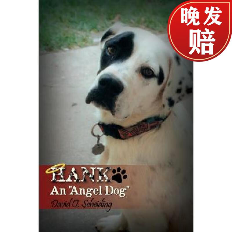 【4周达】hank: an "angel dog"