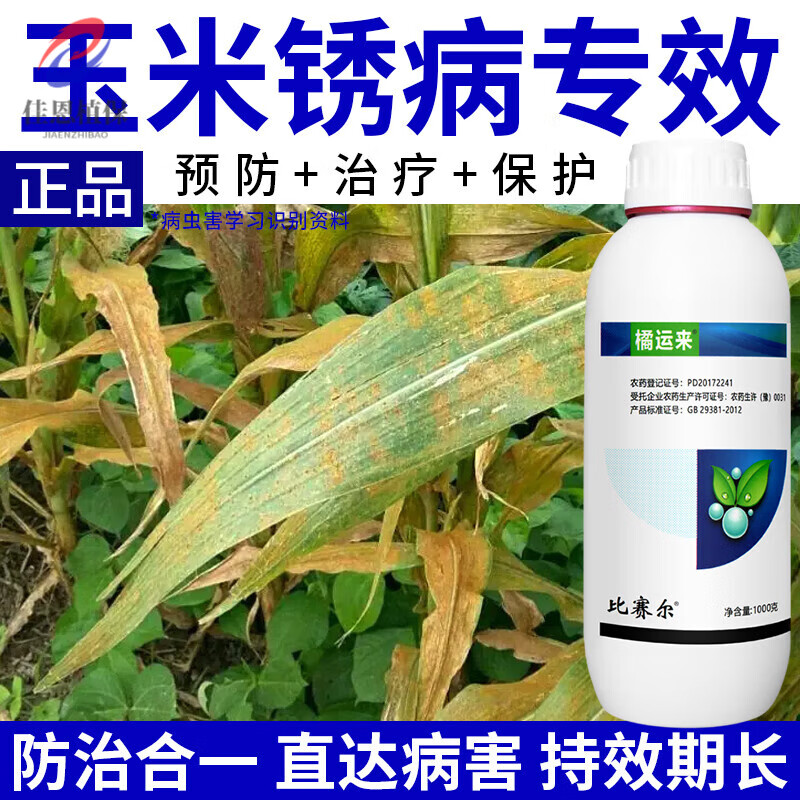玉米锈病专用药戊唑醇黄疸病叶斑病黄斑锈病炭疽病农药杀菌剂 100g*1
