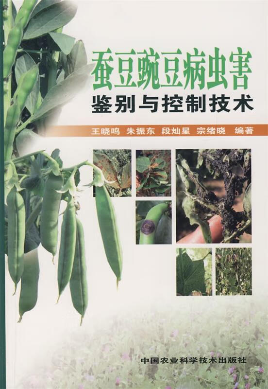 蚕豆豌豆病虫害鉴别与控制技术 王晓鸣 等编著 中国农业科学技术出版
