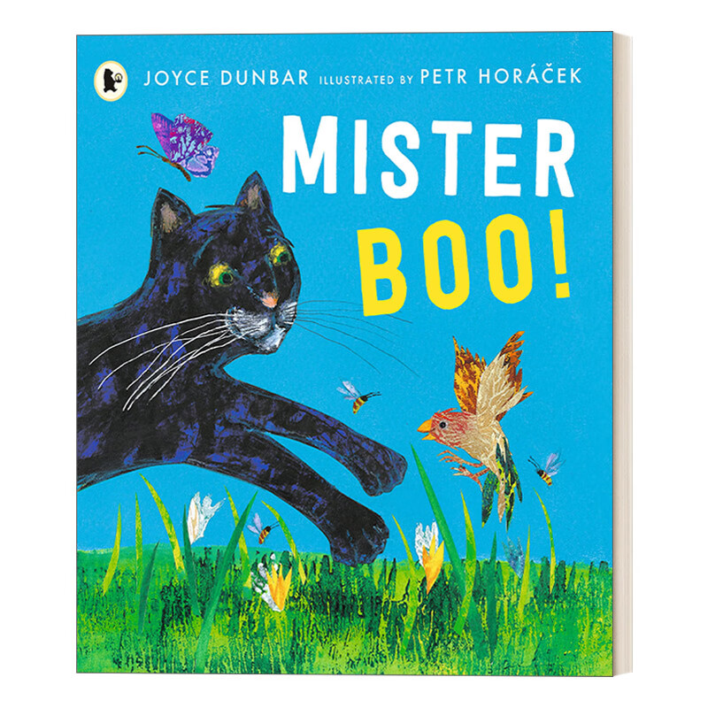 小猫布先生 petr horacek插画 英文版 英语原版书籍