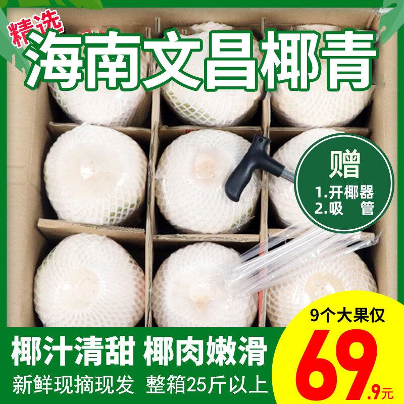 海南文昌东郊椰林椰子椰青大果现摘现发送开椰器和吸管 吸管
