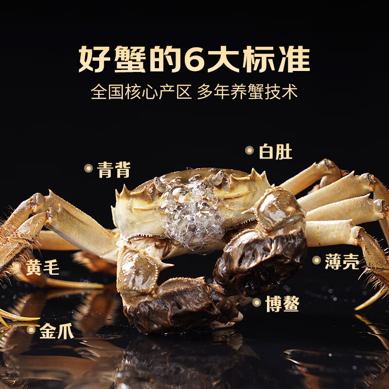 配图6