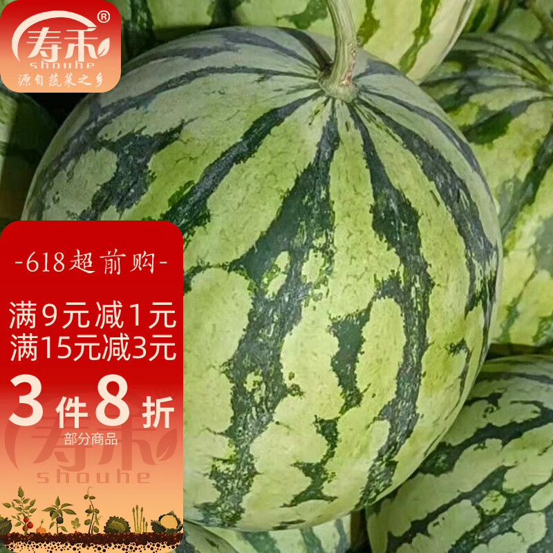 寿禾 西瓜种子多品种南方美都无籽早熟晚熟甜王巨型特大春冬季四季