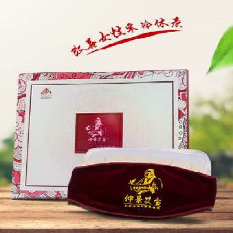 弘灸宝热敷   弘艾坊仲景艾宝弘灸宝胃护腰肩颈电加热敷家用艾灸宝