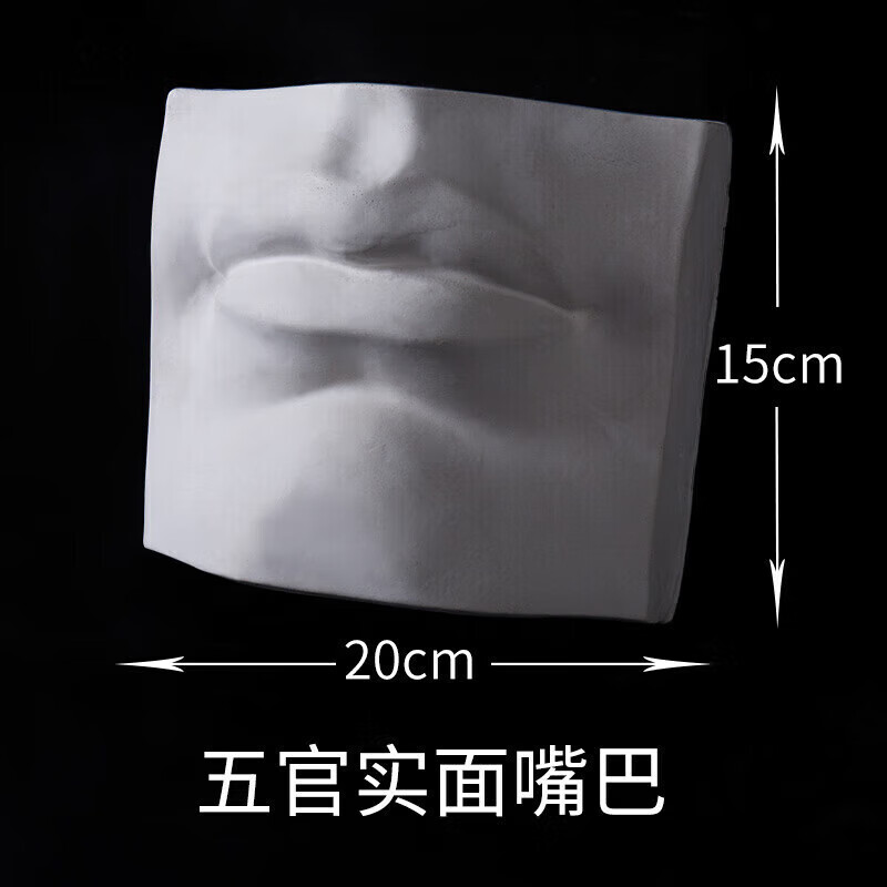 单个五官切面实面石膏像几何体教具美术素描写生眼睛耳朵头骨 五官实